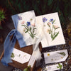 F (set of 2)