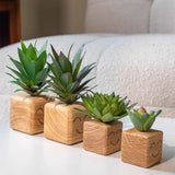 Load image into Gallery viewer, Smiling Artificial Mini Succulents