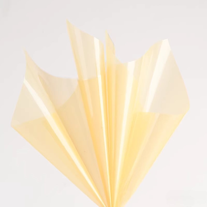 20pcs Colored Clear Cellophane Wrap Sheet (58x58cm)