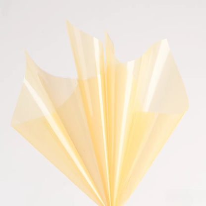 20pcs Colored Clear Cellophane Wrap Sheet (58x58cm)