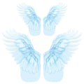 03(10 petites ailes+10 grandes ailes)