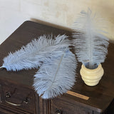 Load image into Gallery viewer, 35cm Ostrich Feather Bouquet Decor Pack 10