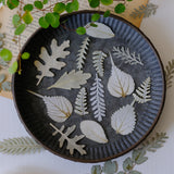 Load image into Gallery viewer, 30 Pcs Assorted Dried Pressed Botanical Foliage