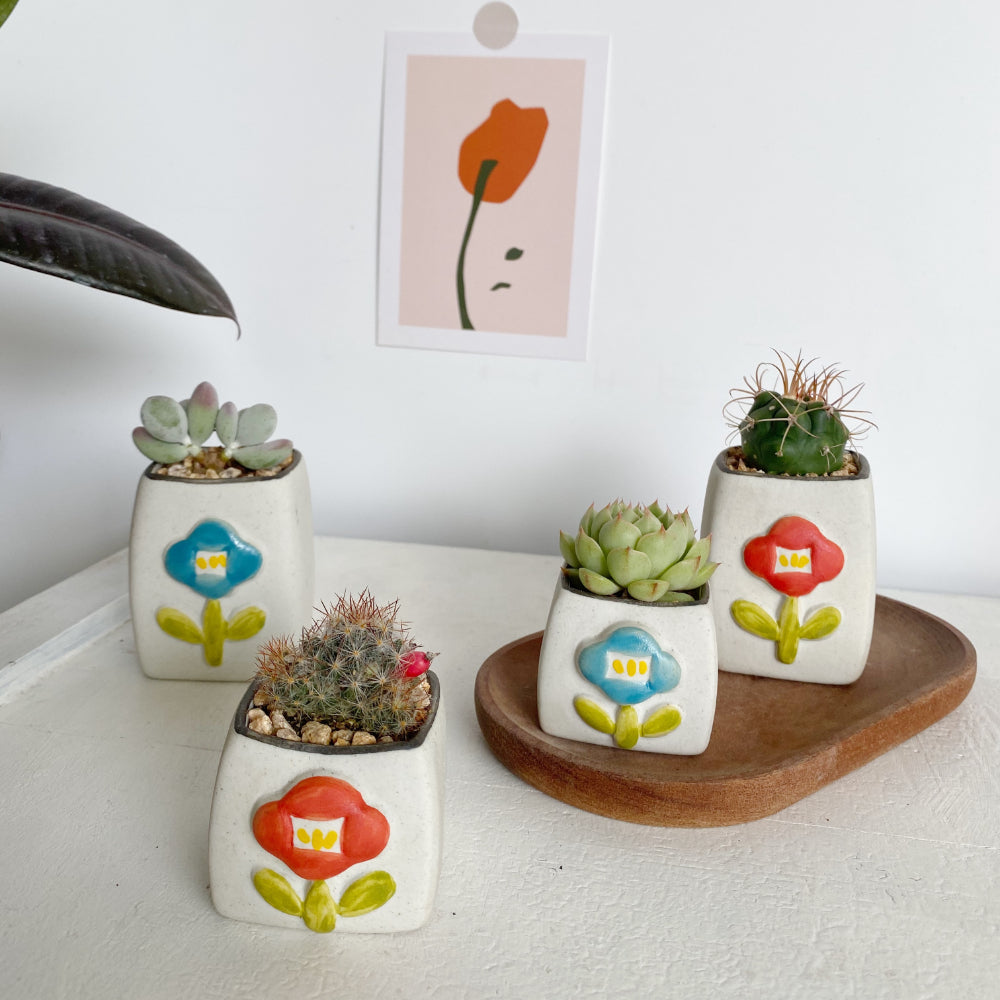 handmade succulent pots Pack of 2 Handmade Little Succulent Pots – Floral Supplies Store