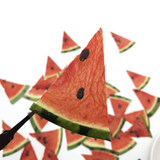 Load image into Gallery viewer, 12 Pcs Real Dried Pressed Watermelon Slices