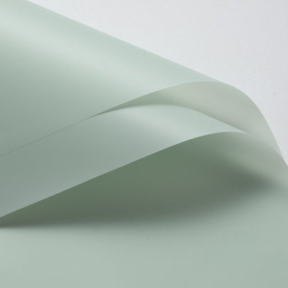20pcs Translucent Frosted Florist Paper (58x58cm)