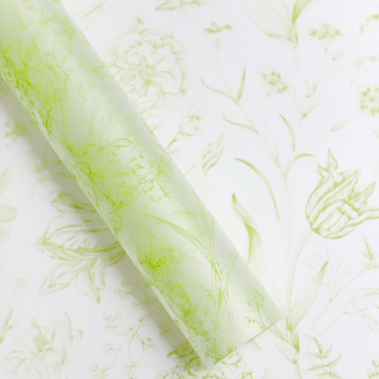 Frosted Botanical Cellophane Paper Pack 20 (57x57cm)