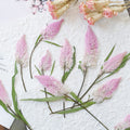 50pcs