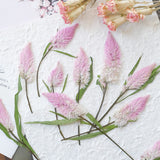 Load image into Gallery viewer, Real Dried Pressed Pink Feather Celosia