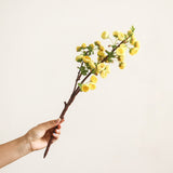 Load image into Gallery viewer, 18.5" Artificial Wintersweet Blossom Branch