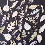 Load image into Gallery viewer, 30 Pcs Assorted Dried Pressed Botanical Foliage