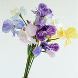 Load image into Gallery viewer, 3-Head Artificial Iris Flower Spray 79cmH