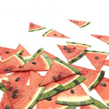 Load image into Gallery viewer, 12 Pcs Real Dried Pressed Watermelon Slices