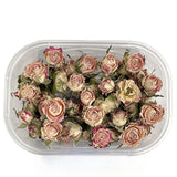 Load image into Gallery viewer, Real Dried Rose Heads for DIY Crafting