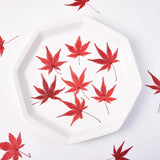 Load image into Gallery viewer, 12 Pcs Dried Pressed Maple Leaves for Crafts