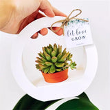 Load image into Gallery viewer, 20pcs Mini Succulent Plant Packaging Gift Box