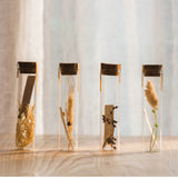 Load image into Gallery viewer, Natural Dried Flower Wishing Bottle Party Favors