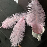 Load image into Gallery viewer, 35cm Ostrich Feather Bouquet Decor Pack 10