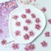 50pcs