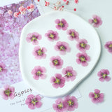 Load image into Gallery viewer, 50 Pcs Real Dried Pressed Small Pink Blossoms
