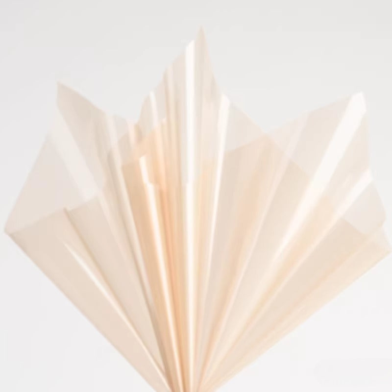20pcs Colored Clear Cellophane Wrap Sheet (58x58cm)