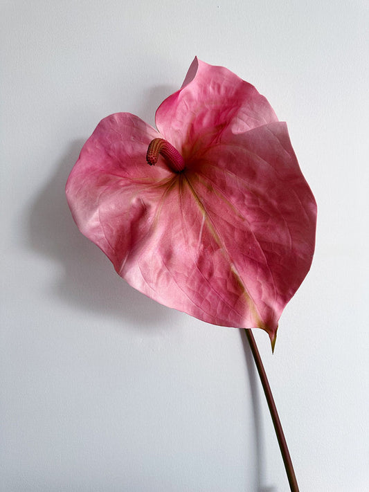 33" Giant Artificial Anthurium Stem