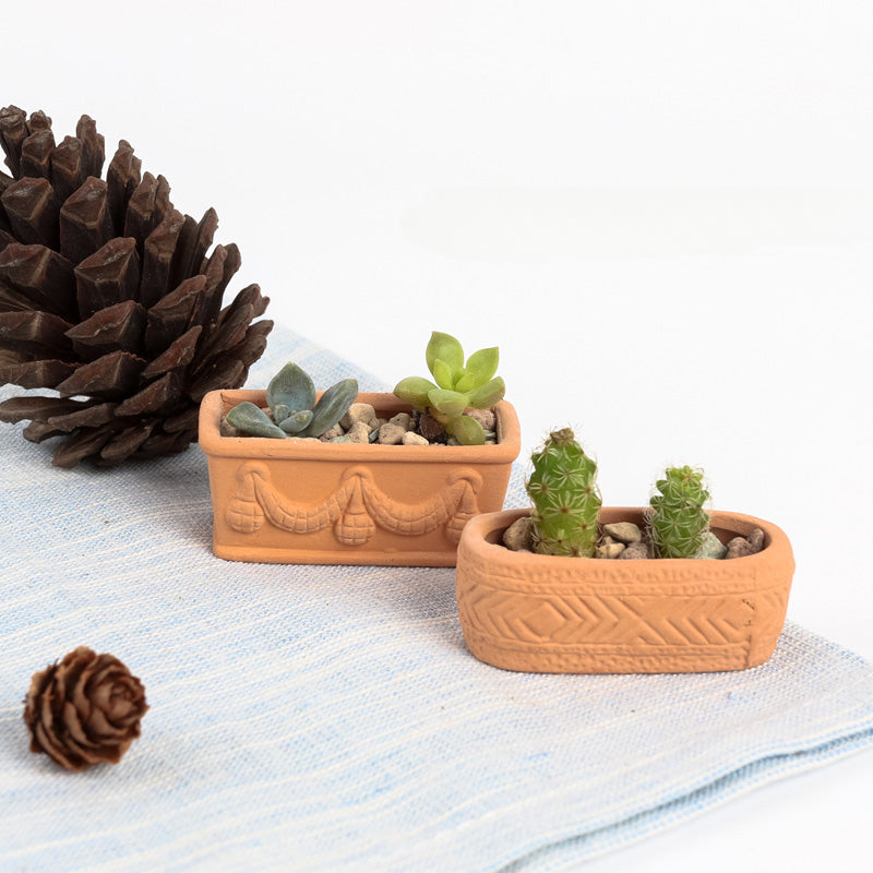 succulent pot set Set of 6 Tiny Terracotta Succulent Pots – Floral Supplies Store