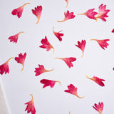 Load image into Gallery viewer, 20 Pcs Dried Pressed Cornflower for DIY Crafts