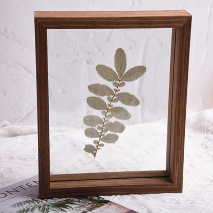 Dried Pressed Silver Velvet Leaves