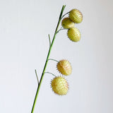 Load image into Gallery viewer, Artificial Balloon Plant Spray (65cm)