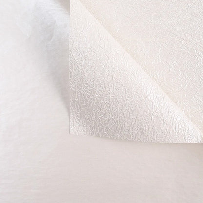 10 feuilles de papier pour bouquet nacré froissé (44x58 cm)