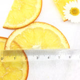 Load image into Gallery viewer, 12 Pcs Vibrant Dried Pressed Half Orange Slices