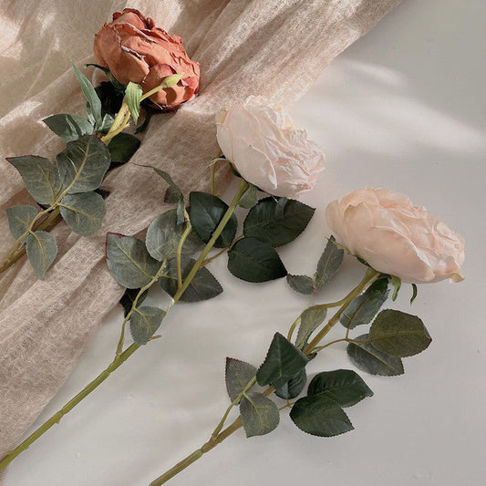 24" Vintage Long-Stemmed Austin Rose