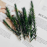 Load image into Gallery viewer, Eternal Forest Birch Bark Wedding Favor Box