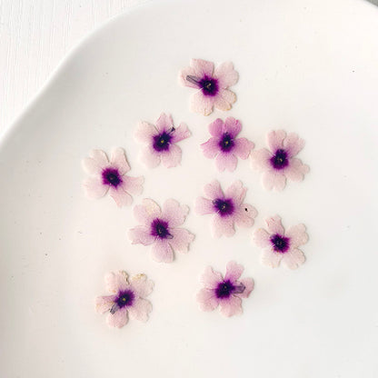 50 Pcs Real Dried Pressed Small Sakura Blossoms