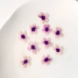 Load image into Gallery viewer, 50 Pcs Real Dried Pressed Small Sakura Blossoms