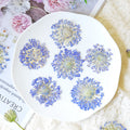3-5cm blue 50pcs
