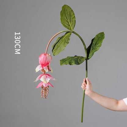 Artificial Medinilla Magnifica Plant