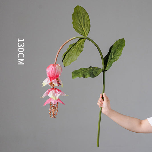 Artificial Medinilla Magnifica Plant
