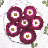 Load image into Gallery viewer, 50 Pcs Real Dried Pressed Rose Blossoms