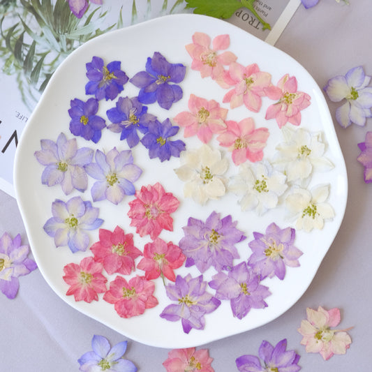 50 Pcs Vibrant Dyed Pressed Delphinium Flowers