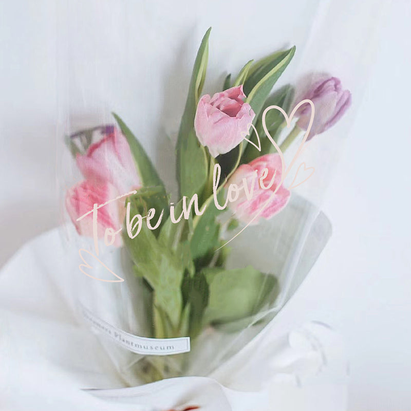 40pcs Valentine's Day Clear Cellophane Wrap (60x60cm)