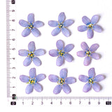 Load image into Gallery viewer, Real Dried Pressed Bluestar Flowers