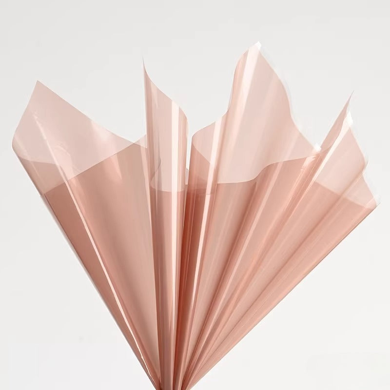 20pcs Colored Clear Cellophane Wrap Sheet (58x58cm)