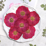 Load image into Gallery viewer, 50 Pcs Real Dried Pressed Rose Blossoms