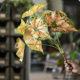 Load image into Gallery viewer, 26" Artificial Begonia Leaf Spray