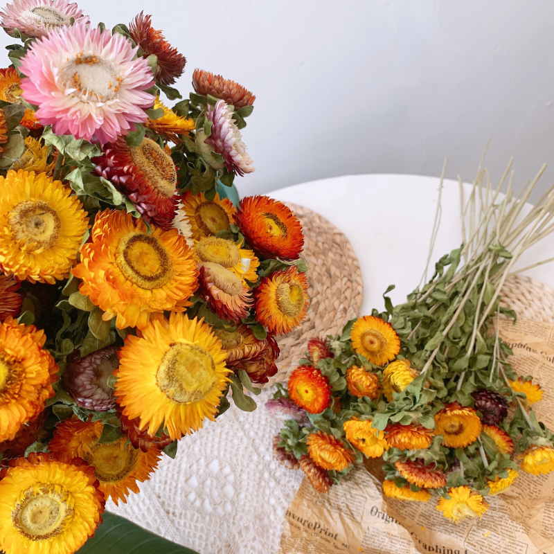 Natural Dried Flowers 20-head Daisy Bouquet