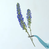 Load image into Gallery viewer, 30 Pcs Real Dried Pressed Blue Salvia Flowers