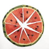 Load image into Gallery viewer, 12 Pcs Real Dried Pressed Watermelon Slices
