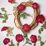 Load image into Gallery viewer, 6 Pcs Dried Pressed Red Roses for Resin Arts